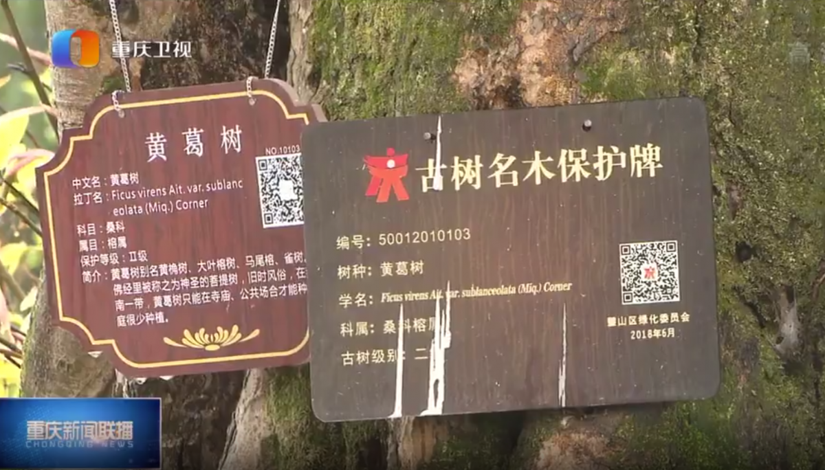 微信圖片_20220407173335