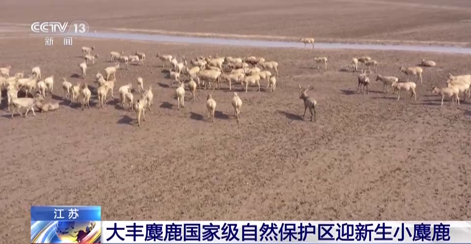 微信圖片_20230315164252
