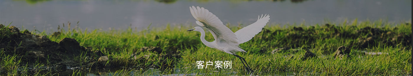 客戶案例