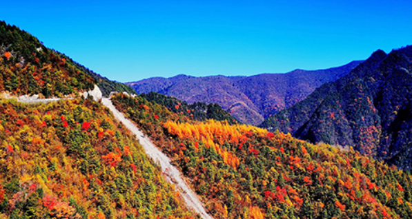 大巴山國家級自然保護區(qū)—智慧自然保護區(qū)