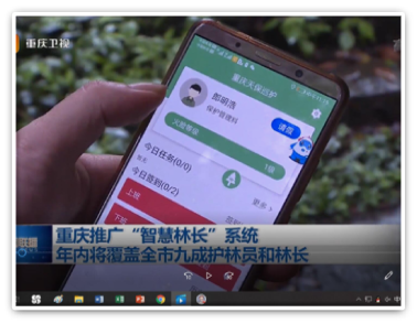 新聞報(bào)道天保項(xiàng)目1