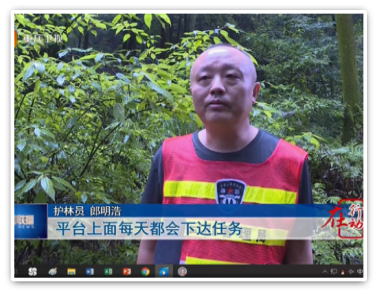 新聞報(bào)道天保項(xiàng)目