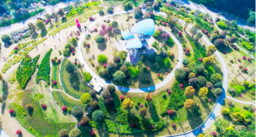 重慶鐵山坪森林公園—智慧森林防火