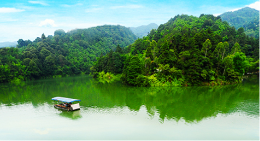 重慶璧山東風(fēng)智慧林場—智慧林場