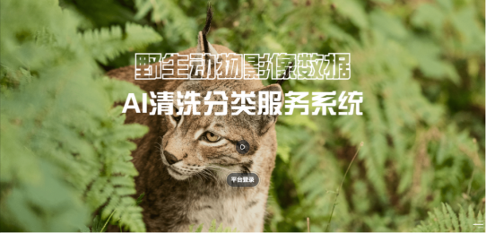 野生動(dòng)物圖像AI識(shí)別分類技術(shù)的應(yīng)用前景和價(jià)值分析 